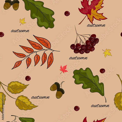 autumn leavs pattern