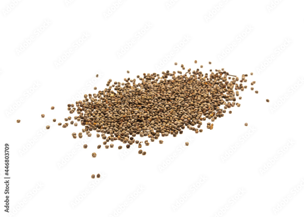 Group of Korean Perilla Shiso or sesame leaves seeds isolated on white background Group of Korean Perilla Shiso or sesame leaves seeds isolated on white background