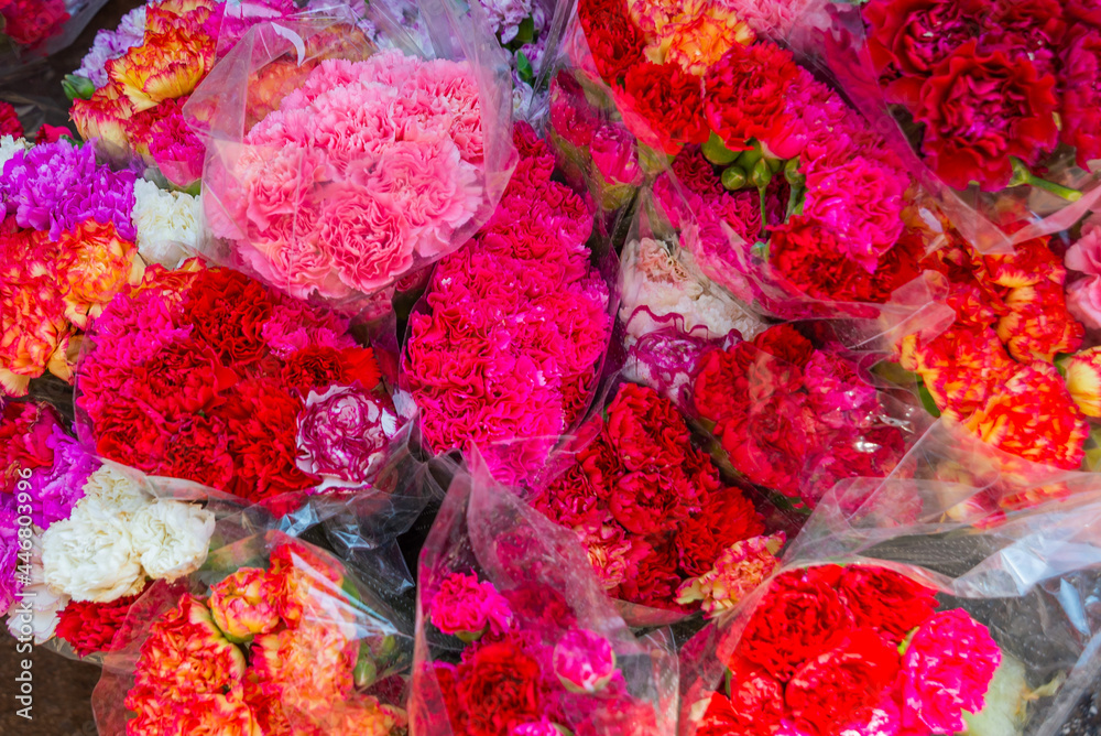 Fototapeta premium ANTALYA, TURKEY: Beautiful flowers carnation on the street market, traditional Turkish bazaar in Antalya.