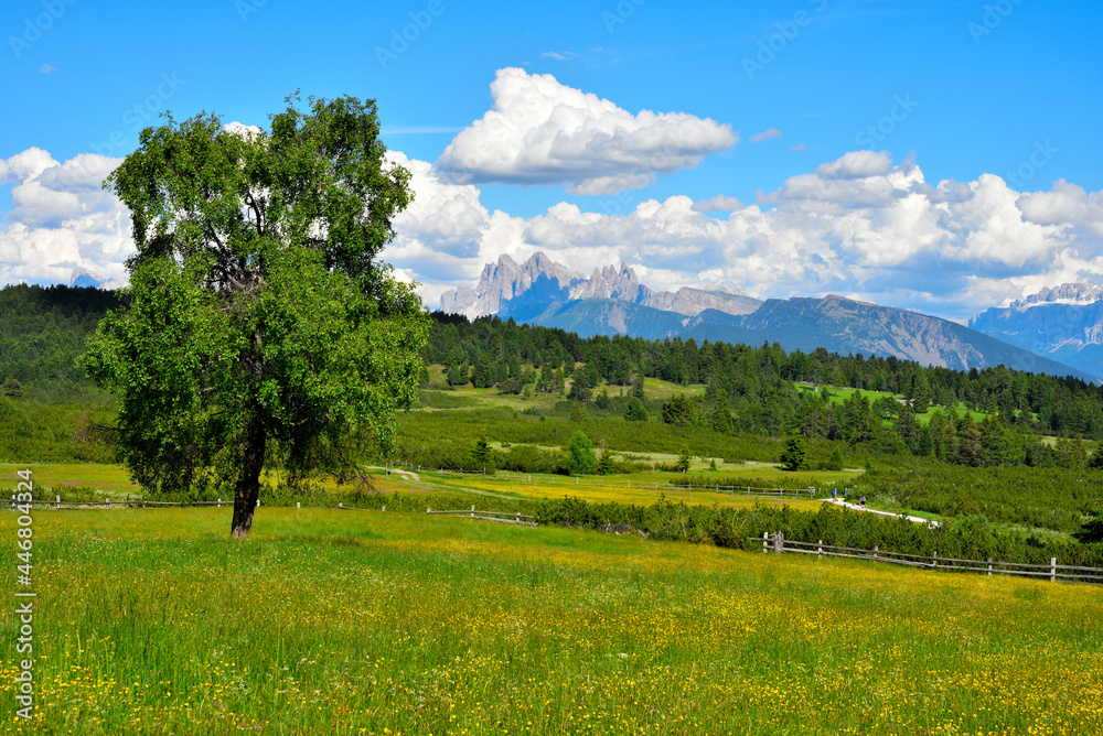 alpe di villandro It is the second largest mountain pasture in Europe south tyrol italy alpe di villandro It is the second largest mountain pasture in Europe south tyrol italy