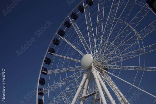 ferris wheel in the park