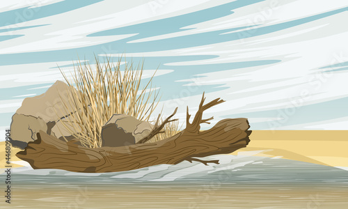 A dirty lake with a fallen dry tree, stones and dry grass on the shore. Realistic vector landscape