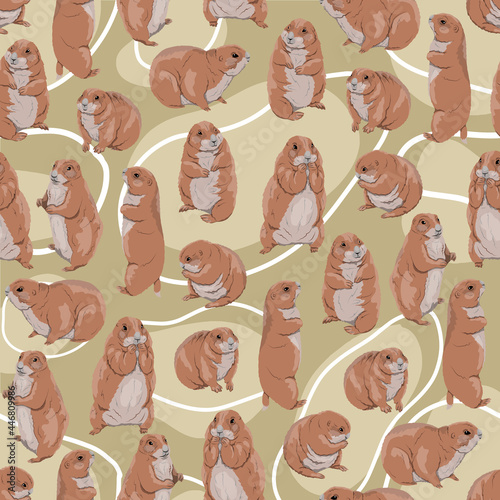 Seamless pattern with Prairie Dogs Cynomys gunnisoni in different poses. Wild rodents of North America. Realistic vector animals photo