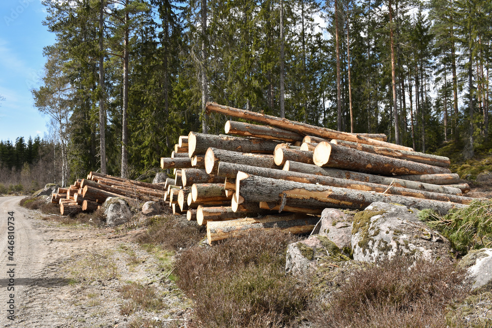 Sustainable resources by roadside Sustainable resources by roadside