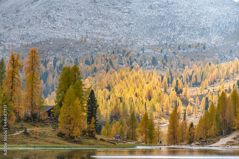 Lago de Federa, no outono, está localizado na Cortina D'Ampezzo, nas Dolomitas, Itália, Europa. As imagens são verdadeiros cartões postais.