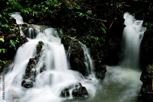 Waterfall. A waterfall located in the middle of the wilderness