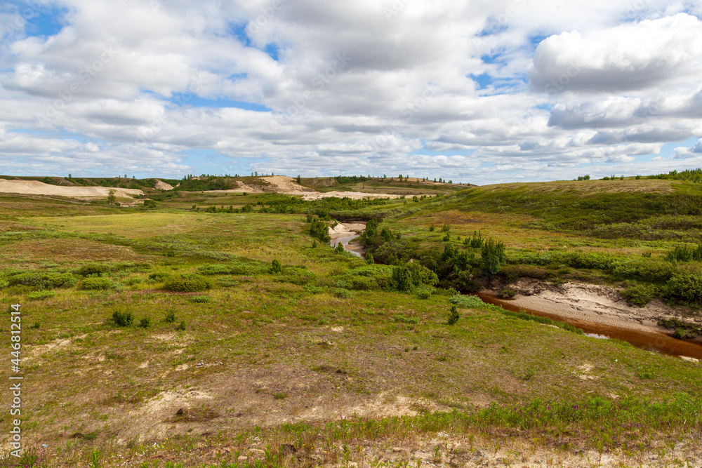 Landscape of the forest-tundra in summer,  the sandy river bank. Arctic Circle, tunda. Beautiful landscape of tundra