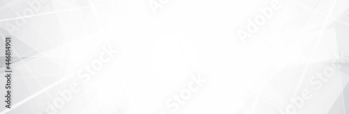 Abstract White Gray background. Blur neutral backdrop. Lecture, seminar, symposium, workshop, conference or briefing presentation template. White vector illustration