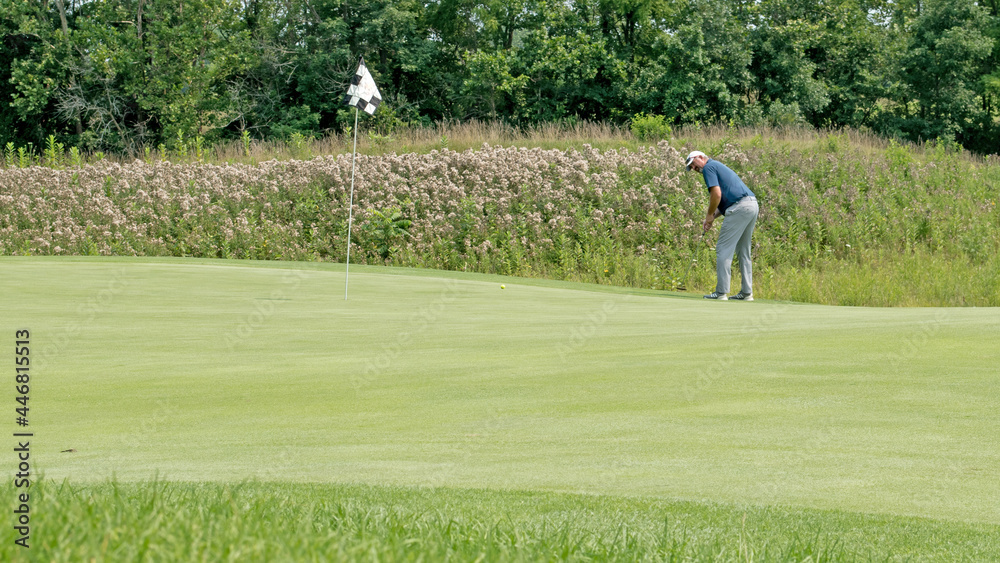 Obraz premium Golfer about to putt up a rise on the green, on a links course.