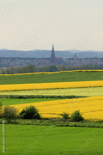 Sleza Landscape Park at the foot of the Sleza Mountain, in south-western Poland, Europe. photo