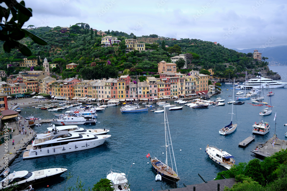 colorful houses of Portofino with a natural leaf arc