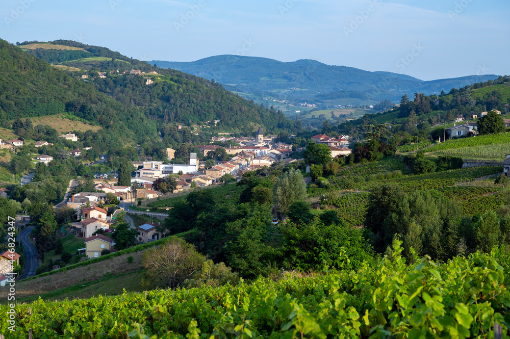 Village de Beaujeu dans le vignoble du Beaujolais en france en été
