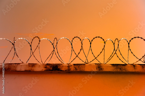 concertina fence installed on a wall and a yellow afternoon sky background photo