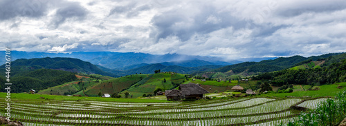 Green Terraced Rice Field in Mae Chaem, Chiang Mai Province, Thailand