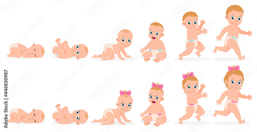 First year baby timeline. Baby boy and girl first year development from newborn to toddler vector illustration. Cute baby month stages development First year baby timeline. Baby boy and girl first year development from newborn to toddler vector illustration. Cute baby month stages development
