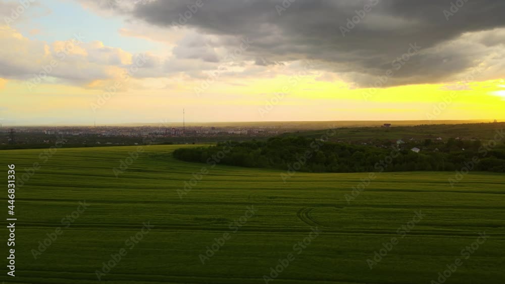 Aerial landscape view of green cultivated agricultural fields with growing crops on bright summer evening. Aerial landscape view of green cultivated agricultural fields with growing crops on bright summer evening.