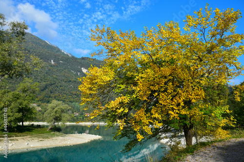 Lago di Tenno with its clear turquoise water and a yellow mulberry. Trentino  Italy.