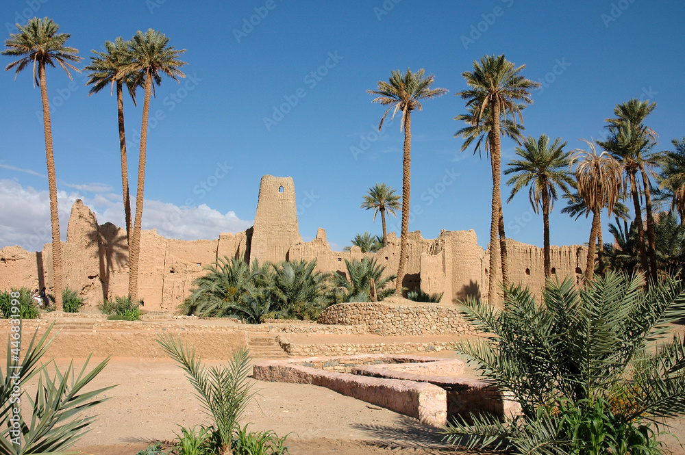 Palm grove of Figuig in south-eastern Morocco Palm grove of Figuig in south-eastern Morocco
