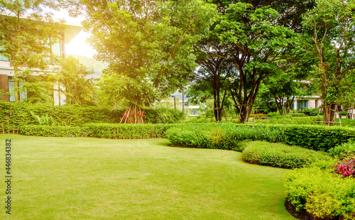 House in the park, Green lawn, front yard is beautifully designed garden, Flowers in the garden, Green grass, Modern house with beautiful landscaped front yard, Lawn and garden blur background.