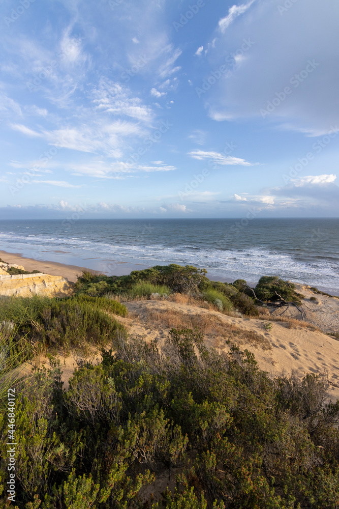 unas vistas de la bella playa de Mazagon, situada en la provincia de Huelva,España.Con sus acantilados,pinos,dunas ,vegetacion verde y un cielo con nubes. Atardeceres preciosos