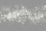 Sparkling magic dust particles bokeh, light effect