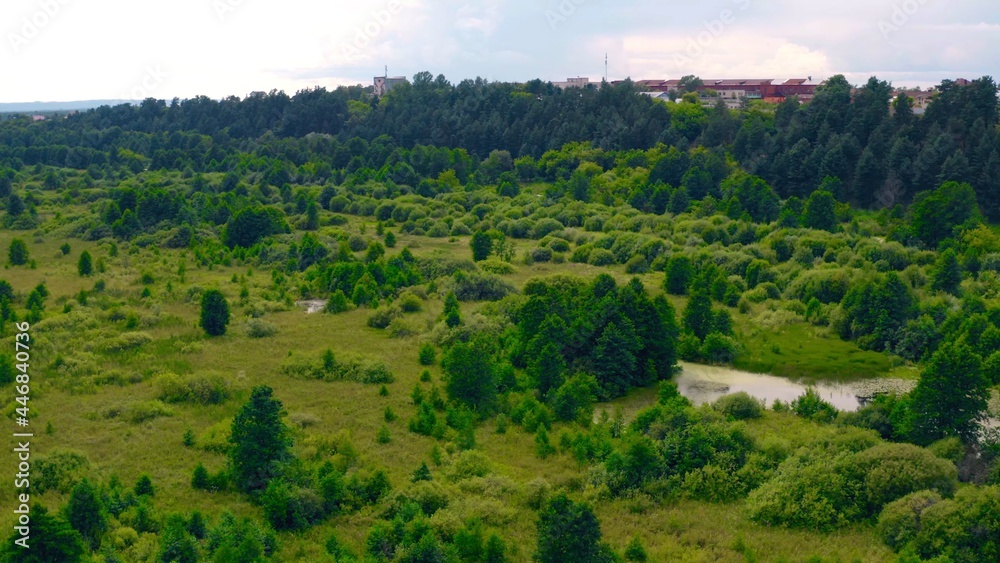 Obraz premium ЯВЛЯЕТЕСЬ РЕЗИДЕНТОМ СТРАНЫ, ИМЕЮЩЕЙ НАЛОГОВОЕ СОГЛАШЕНИЕ С США