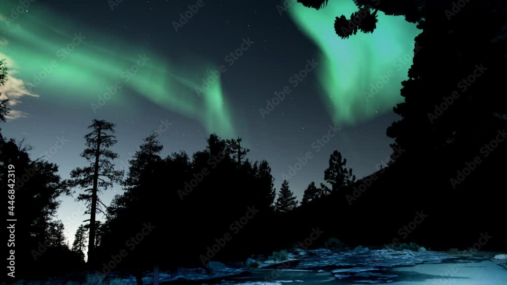 Aurora Borealis Green Loop Snow Mountain Forests Northern Lights