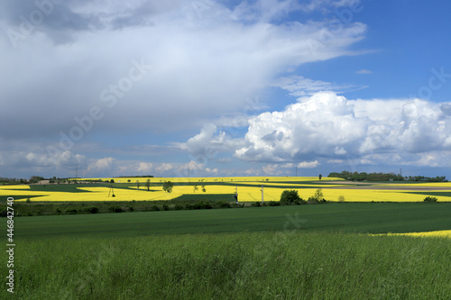 Sleza Landscape Park at the foot of the Sleza Mountain, in south-western Poland, Europe. Spring landscape. photo