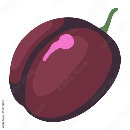 Ripe plum, tree fruit. Hand drawn vector illustration. Colored cartoon doodle of autumn harvest. Single drawing isolated on white. Element for design, print, sticker, card, decoration, wrap.