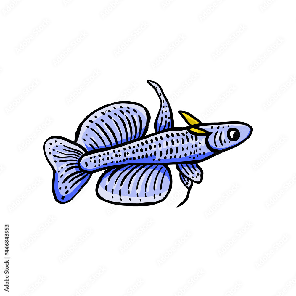 Obraz premium Design vector unique decorative fish or Suitable for ornamental fish shop logo , etc