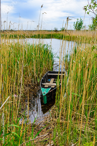 Fototapeta Naklejka Na Ścianę i Meble -  Old boat moored in the thicket of reeds