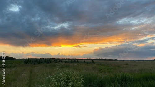 west elephant green fields summer orange sun dark clouds blue sky near Wlodawa