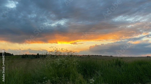 west elephant green fields summer orange sun dark clouds blue sky near Wlodawa