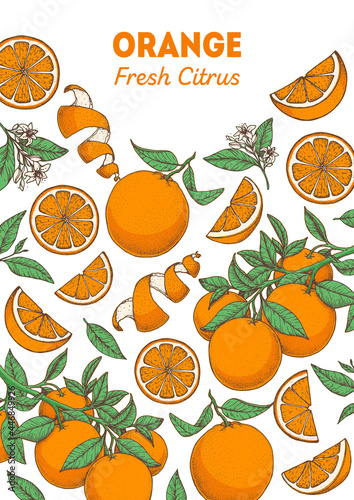 Orange fruit hand drawn package design. Orange tree frame template. Vector illustration. Menu design, brochure illustration. Colorful design. Citrus pattern illustration. Can used for packaging design