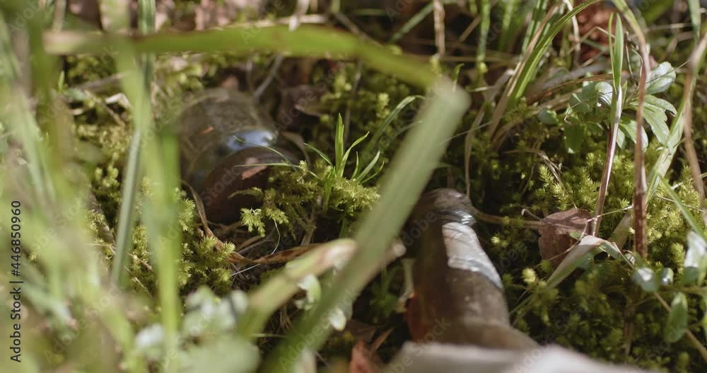 A hand in a glove removes debris from the forest, close-up A hand in a glove removes debris from the forest, close-up