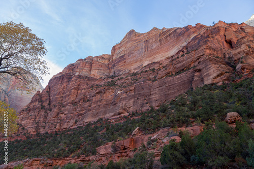 Red Rock Cliffs at Zion