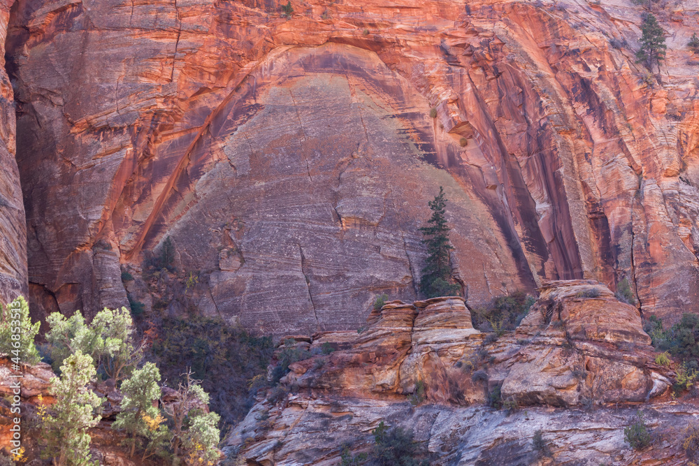 Large Arch Forming in Zion