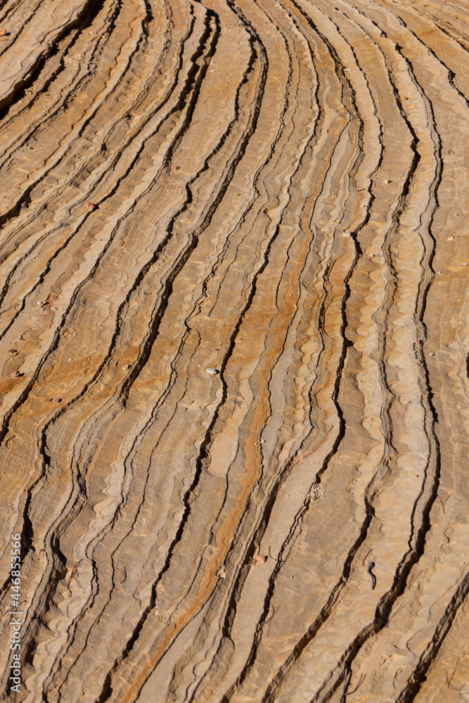 Layered Sandstone Surface Layered Sandstone Surface