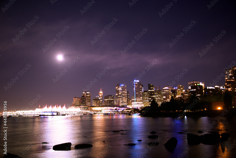 Fototapeta premium city skyline at night