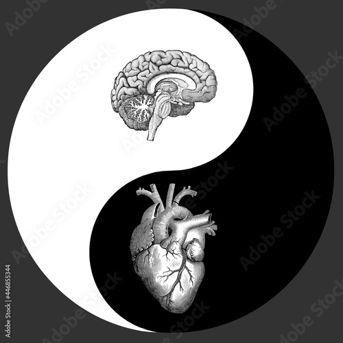 Tableau sur toile Anatomical Heart and Brain in a Ying Yang