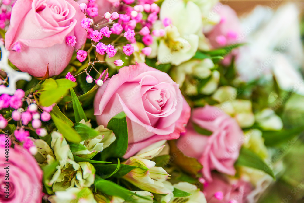 wallpaper with flowers roses close up. backdrop with buds of roses