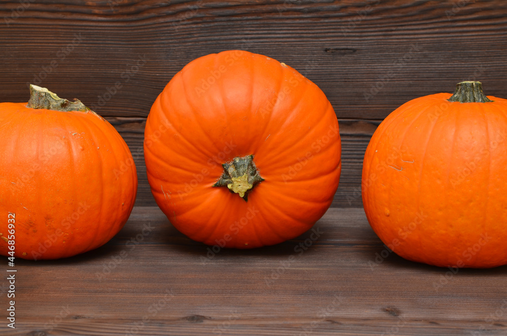 autumn background pumpkins on dark wood