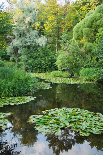 pond in the park