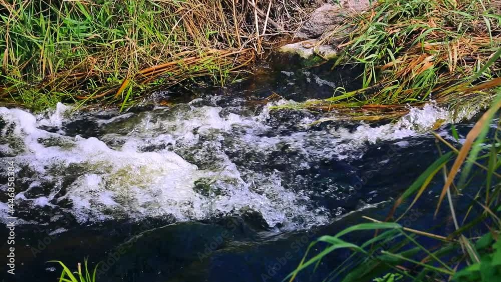 current in the river bubbling stream of water in the riverbed with reeds and stones, natural landscape with water flowing nobody. current in the river bubbling stream of water in the riverbed with reeds and stones, natural landscape with water flowing nobody.