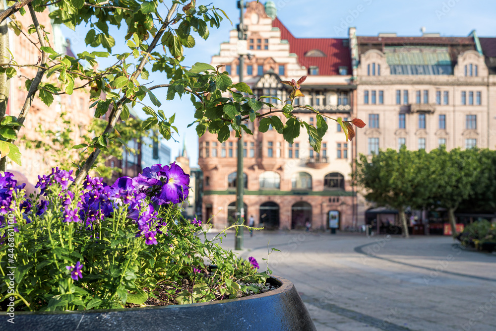 Flowers at Stortorget Square - Malmo, Sweden