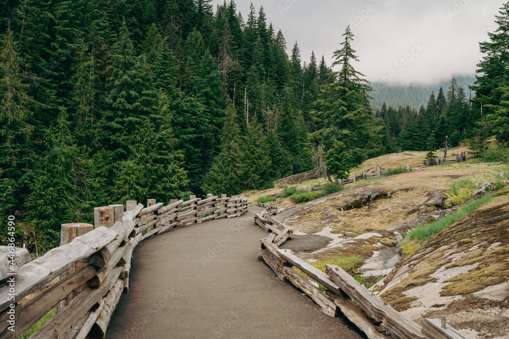 Paved trail leading to the bridge overlook at the Box Canyon of the Cowlitz River in Mt Rainier National Park