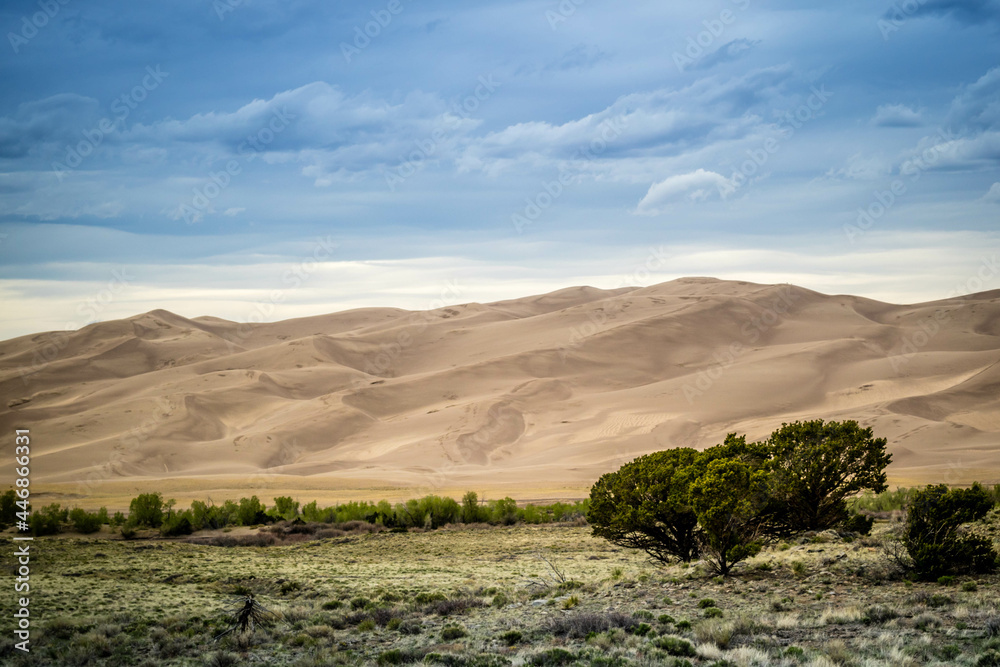 Sand Dunes in Great Sand Dunes National Park and Preserve, Colorado