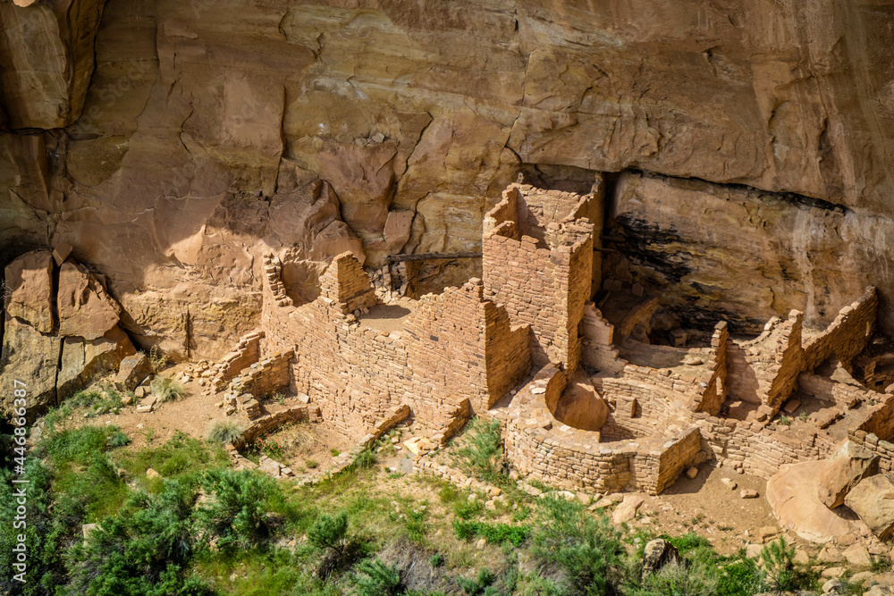A Square Tree House in Mesa Verde National Park, Colorado A Square Tree House in Mesa Verde National Park, Colorado