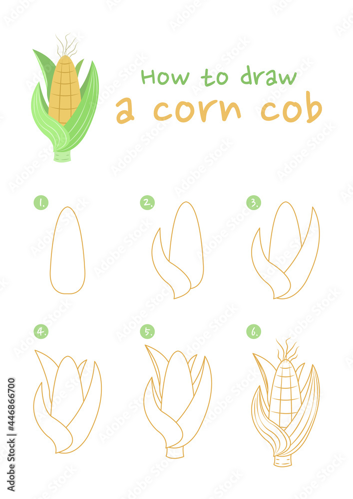 How to draw a corn cob vector illustration. Draw a corn step by step