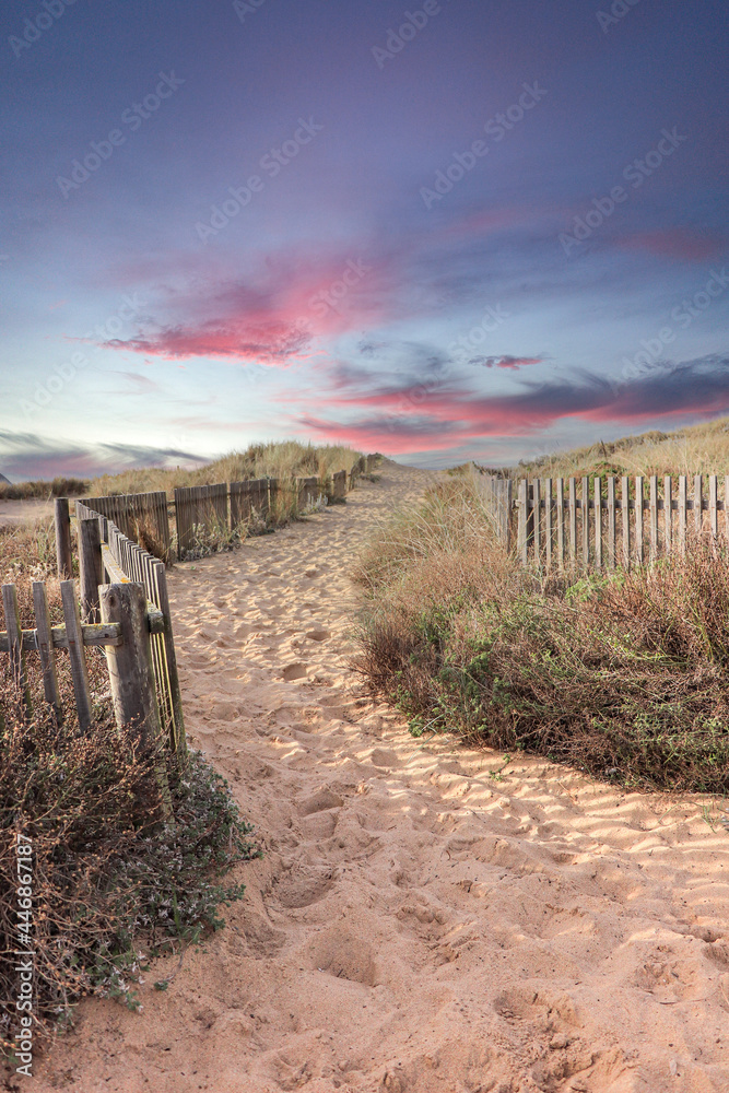 Path to the beach through the dunes at the sunset
